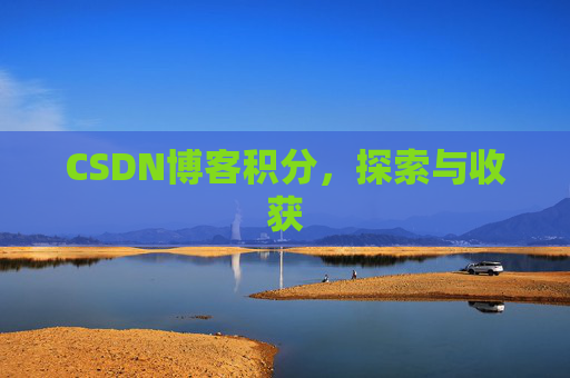 CSDN博客积分，探索与收获